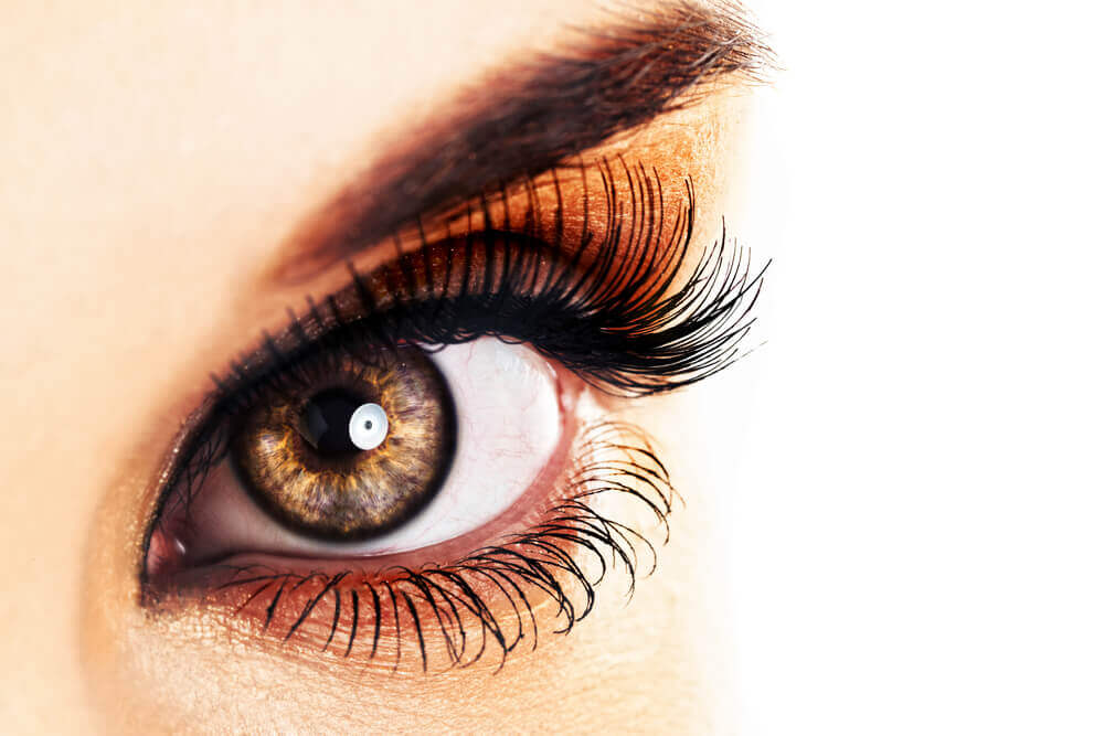Close Up of Woman's Eyelashes